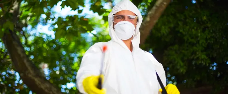 Bee & Wasp Removal service in Araria