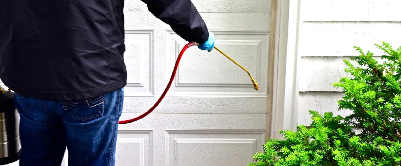 Commercial Pest Control in Araria