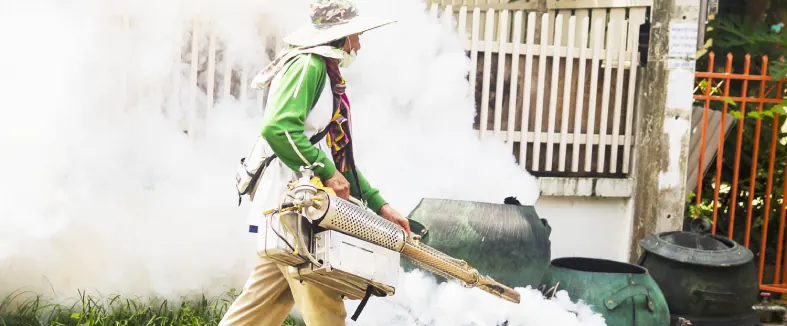 Mosquito Control in Araria