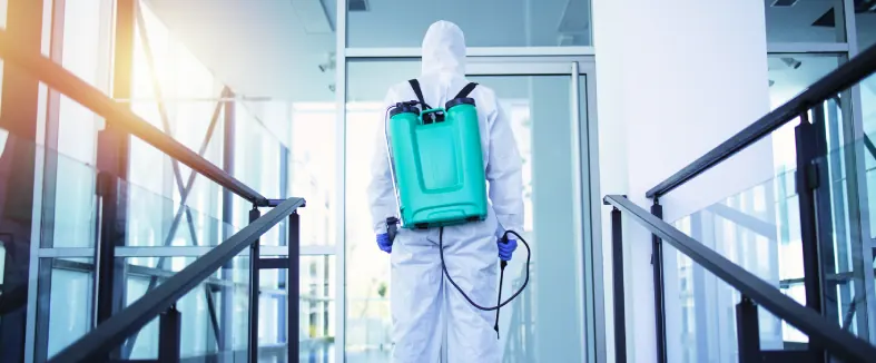Pest Control in Chhapra